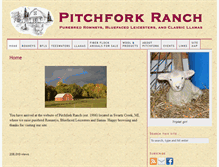 Tablet Screenshot of pitchfork.org